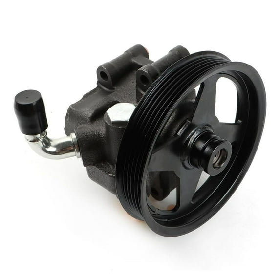 NAVOROGE Replacement Part OE# 20-282 20262 Compatible with F-150 1997-2005, F-250 1997-1999, Crown Victoria 1999-2002, Grand Marquis 1999-2002, F-150 Heritage 2004 Power Steering Pump