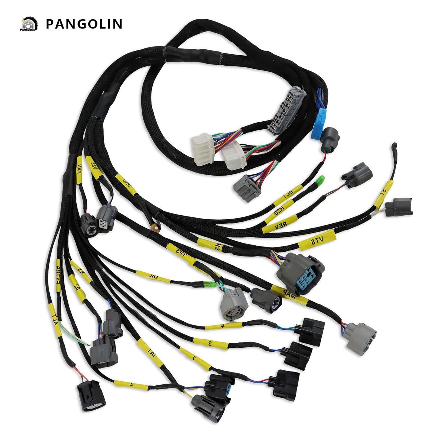 PANGOLIN D & B-Series Engine Wiring Harness CNCH-OBD2-1 Fits for 1989-2001 Honda Civic Integra B16 B18 D16 OBD2 Tucked Budget Engine Harness Aftermarket Parts