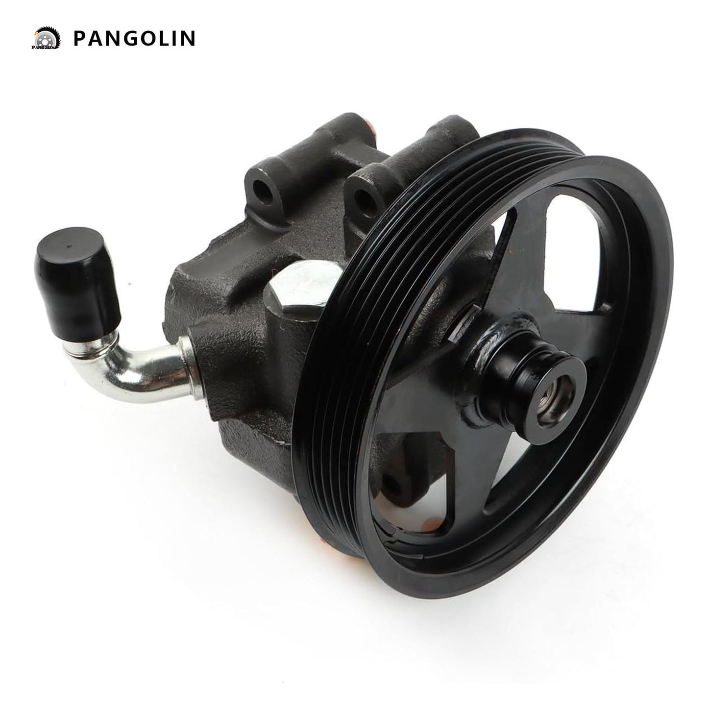 PANGOLIN Power Steering Pump with Pully 20-282 Fits for Ford 1997-1999 F-250, for 1997-2005 F-150 5.4L V8, Power Assist Pump Replace Part OE 2L3Z3A674AARM, 2L3Z3A674CARM, 20262