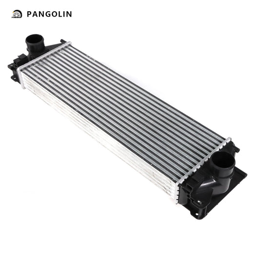 PANGOLIN Turbo Intercooler 4401-2410 Fit for 2007-2009 Dodge Sprinter 2500 3500 3.0L 3.5L Front Air Cooler Intercooler Replacement Part OE 68014095AA, 9065010101